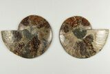4.55" Cut & Polished, Agatized Ammonite Fossil - Madagascar - #200146-1